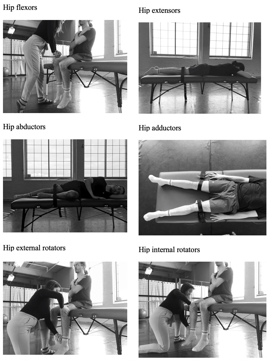 Functional Movement Screen (FMS) deep squat. Adapted with permission