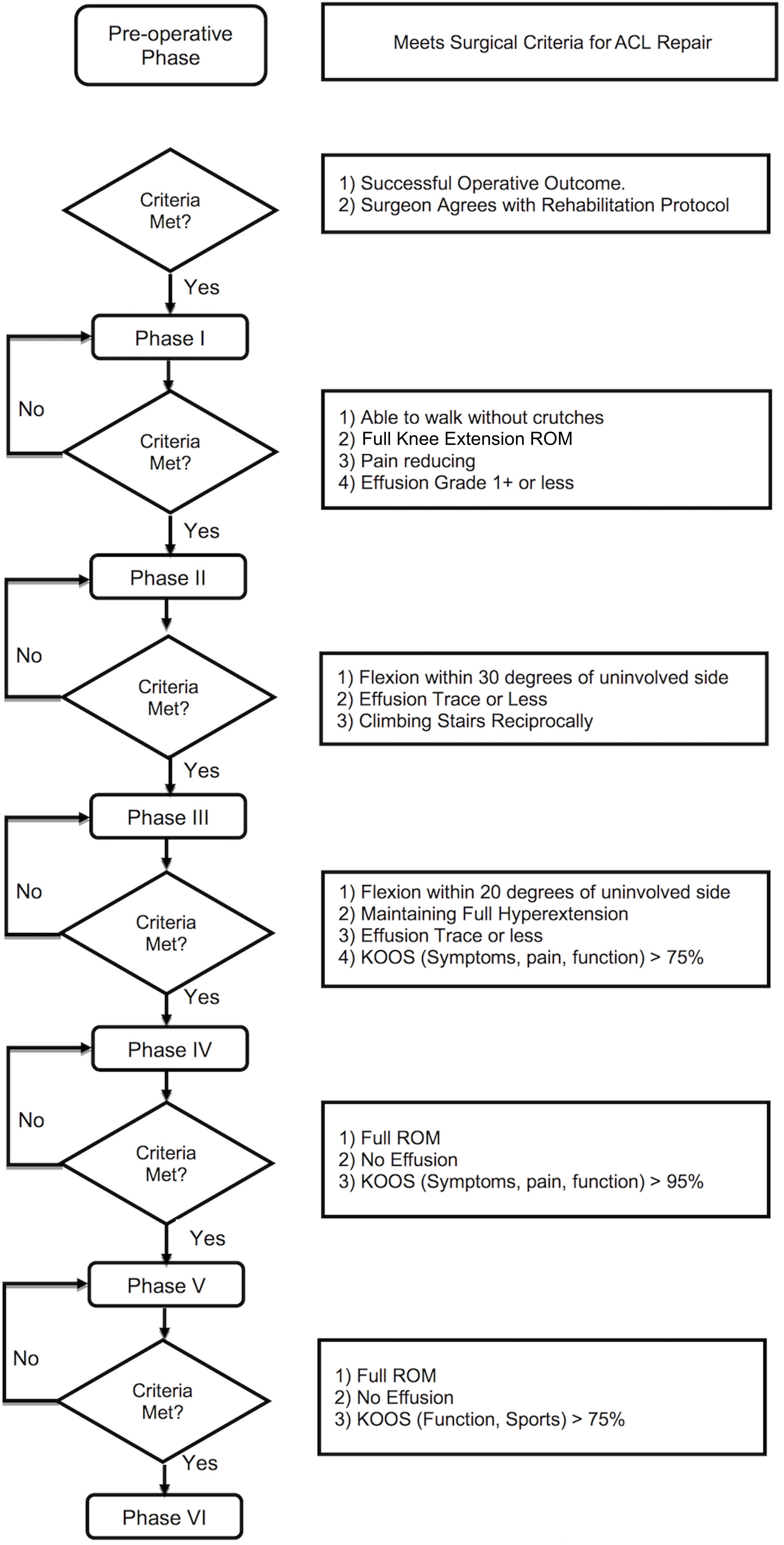 A Criterion Based Rehabilitation Protocol for ACL Repair with Internal Brace  Augmentation