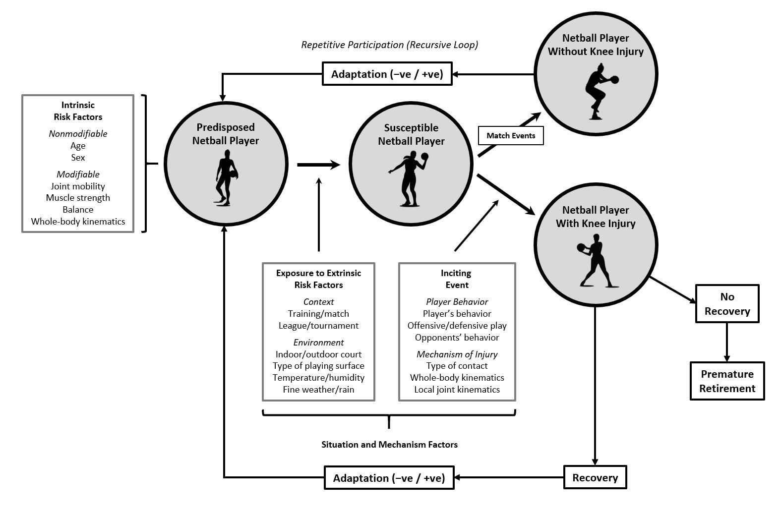 Noncontact Knee Ligament Injury Prevention Screening in Netball: A