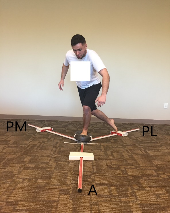 Lower Extremity and Trunk Electromyographic Muscle Activity During
