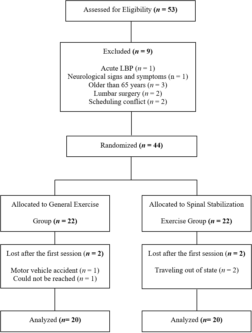 https://ijspt.scholasticahq.com/article/68075-effectiveness-of-spinal-stabilization-exercises-on-dynamic-balance-in-adults-with-chronic-low-back-pain/attachment/135770.png