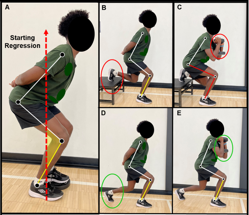 Split Squat Biomechanics and Performance - E3 Rehab