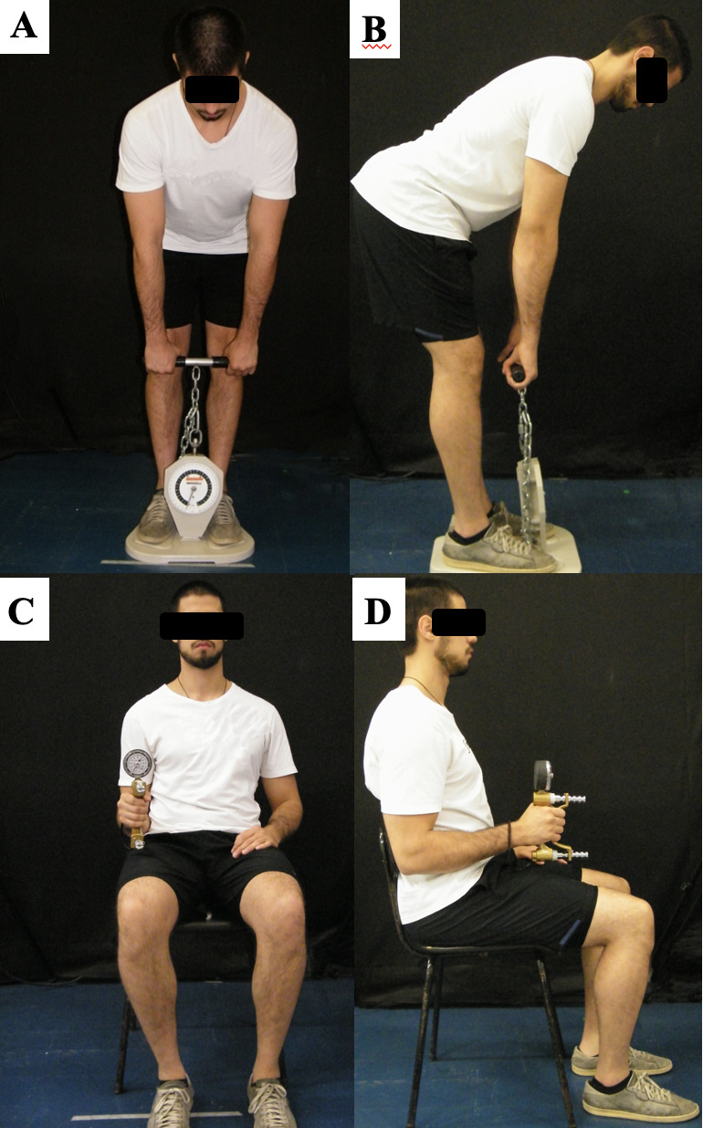 https://ijspt.scholasticahq.com/article/75222-trunk-mass-grasp-knee-and-hip-muscle-performance-in-crossfit-participants-reference-values-according-to-participants-sex-and-limb-dominance/attachment/159259.jpg