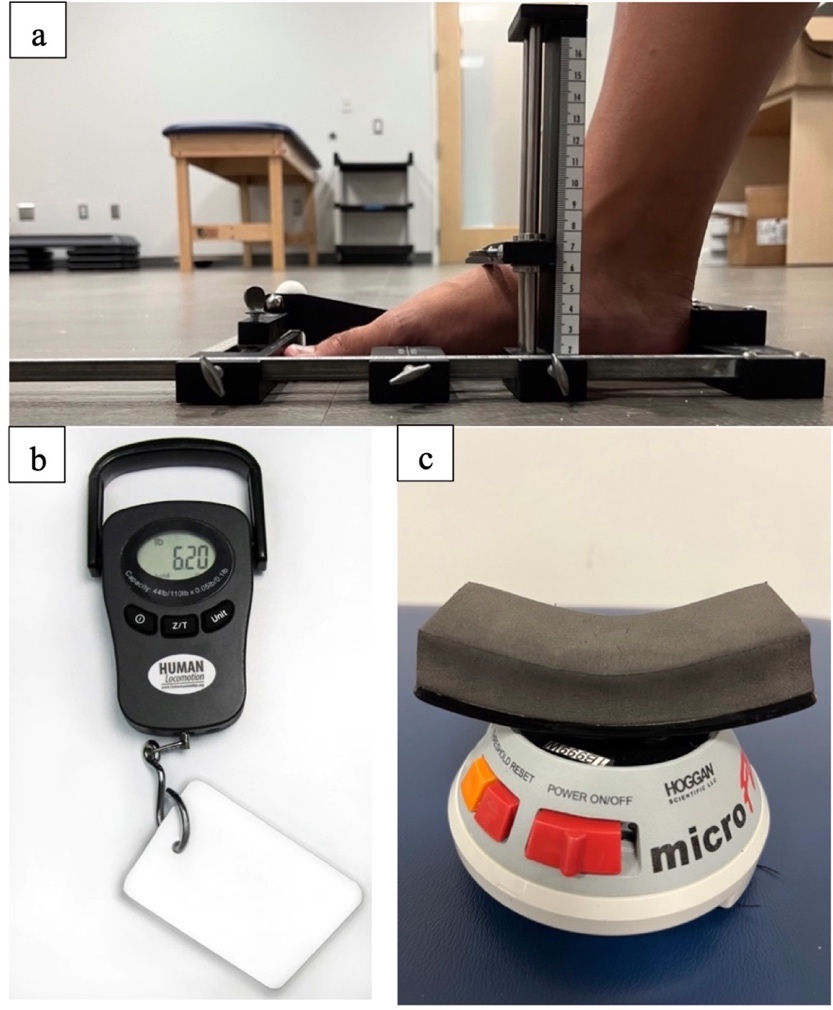 A Novel Intrinsic Foot Muscle Strength Dynamometer Demonstrates ...