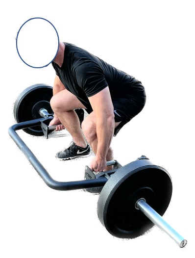 Physically Active Adults with Low Back Pain do not Demonstrate Altered  Deadlift Mechanics: A Novel Application of Myotonometry to Estimate  Inter-Muscular Load Sharing